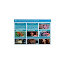 Стенд-планшет светодинамический "Изучение типических патологических процессов в организмах животных" - «globural.ru» - Рузаевка