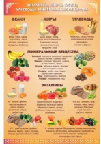 Стенд "Витамины, жиры, углеводы" - «globural.ru» - Рузаевка