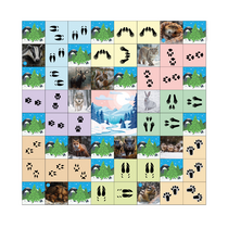 Коврик для логобота Пчелка "Следы животных" - «globural.ru» - Рузаевка