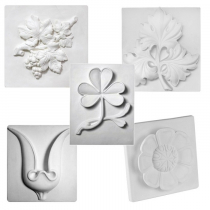 Комплект гипсовых моделей растений  - «globural.ru» - Рузаевка