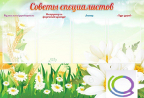 Стенд "Советы специалистов" - «globural.ru» - Рузаевка