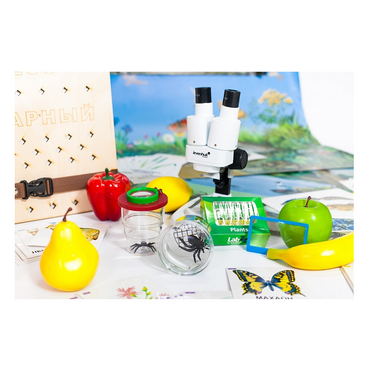 Учебно-методический набор для проектной деятельности в ДОО №1–ЕН (химия, биология, анатомия) - «globural.ru» - Рузаевка