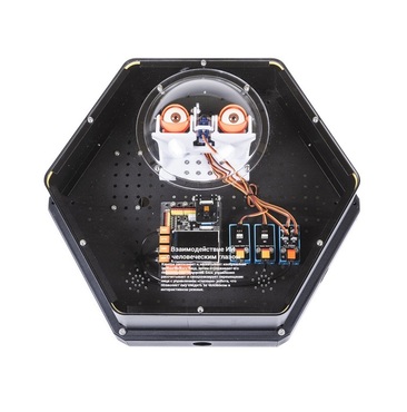 Модуль интерактивный с искусственным интеллектом "Наблюдатель" - «globural.ru» - Рузаевка