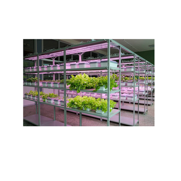 Обучающий комплект "АГРОкласс" - «globural.ru» - Рузаевка