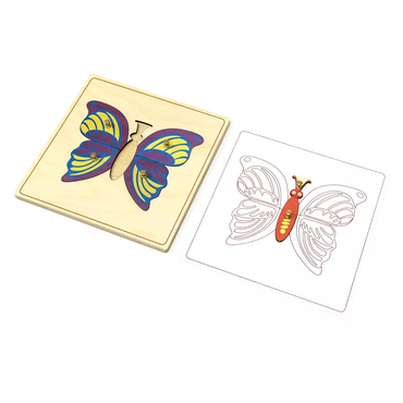 Строение бабочки с контуром. - «globural.ru» - Рузаевка