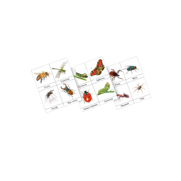 Фланелеграф "Насекомые" - «globural.ru» - Рузаевка