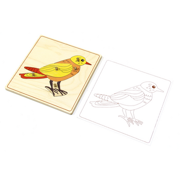 Строение птицы с контуром. - «globural.ru» - Рузаевка