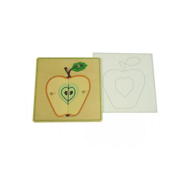 Части яблока с контуром - «globural.ru» - Рузаевка