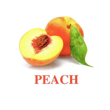 "Fruit" ("Фрукты") английские карточки Домана - «globural.ru» - Рузаевка