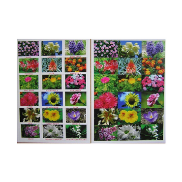 Английское лото "Цветы - травы" - «globural.ru» - Рузаевка