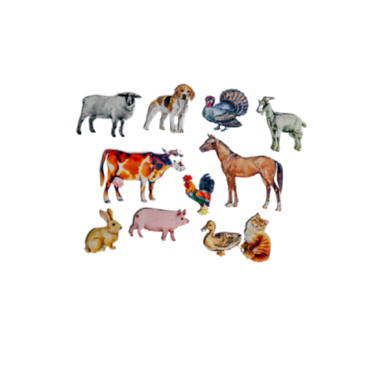 Фланелеграф "Домашние животные" - «globural.ru» - Рузаевка