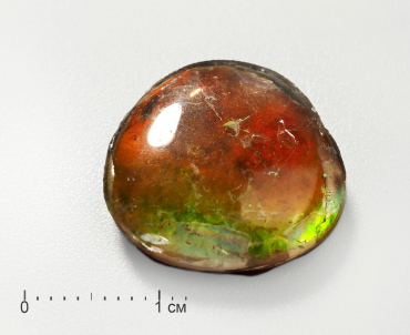 Аммолит (ископаемый перламутр аммонита) с горным хрусталем, дублет - «globural.ru» - Рузаевка