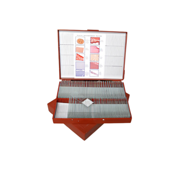 Комплект микропрепаратов "Анатомия" - «globural.ru» - Рузаевка