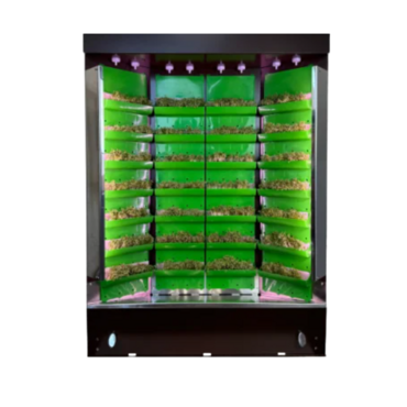 Вертикальная ферма "Моя Микрозелень" комплектация "Театро настольная" - «globural.ru» - Рузаевка