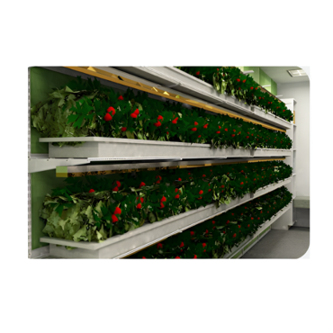 Стеллаж для выращивания клубники "Стена" - «globural.ru» - Рузаевка