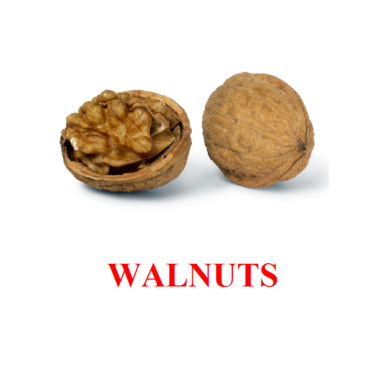 "Berries-Nuts-2" ("Ягоды-Орехи-2") английские карточки Домана - «globural.ru» - Рузаевка