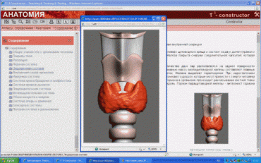 Анатомия онлайн. Школьный атлас - «globural.ru» - Рузаевка