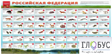 Стенд "Красная книга РФ" - «globural.ru» - Рузаевка