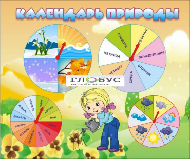Стенд "Календарь природы" (вариант 1) - «globural.ru» - Рузаевка