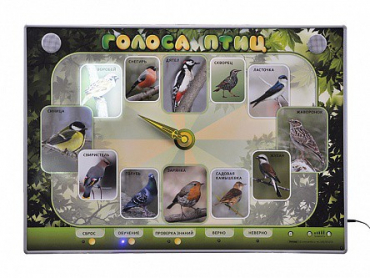 Электрифицированный стенд-часы "Голоса птиц" с комплектом дидактического материала - «globural.ru» - Рузаевка
