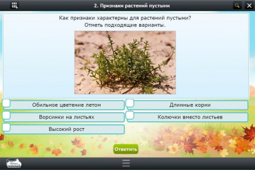 Интерактивные курсы. Окружающий мир 3 класс. Базовый - «globural.ru» - Рузаевка