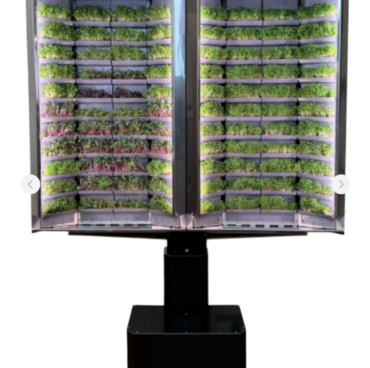 Вертикальная  ферма «Моя микрозелень» комплектация  «Театро настенная» - «globural.ru» - Рузаевка