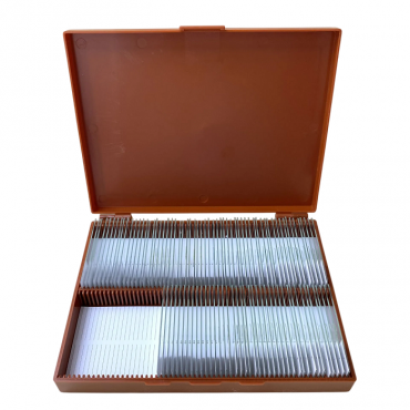 Комплект микропрепаратов по анатомии, ботанике, зоологии, общей биологии - «globural.ru» - Рузаевка