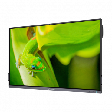 Интерактивный программно-аппаратный комплекс Geckotouch Interactive IP86GT-С  в комплекте с настенным креплением - «globural.ru» - Рузаевка