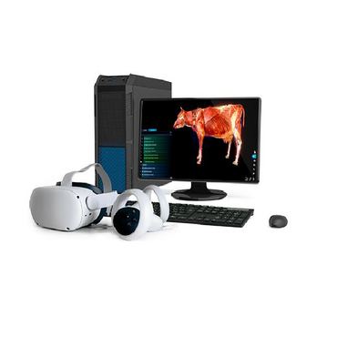 Интерактивный учебный комплекс «Анатомия Коровы» - «globural.ru» - Рузаевка