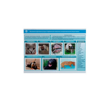 Стенд-планшет светодинамический «Острые отравления животных лекарственными препаратами» - «globural.ru» - Рузаевка
