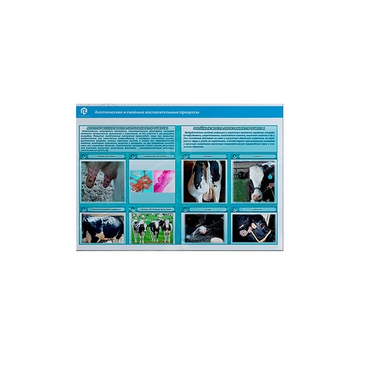 Стенд-планшет светодинамический «Изучение асептических и гнойных воспалительных процессов» - «globural.ru» - Рузаевка