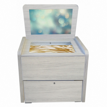 Сундучок психолога-дефектолога "Антошка" - «globural.ru» - Рузаевка