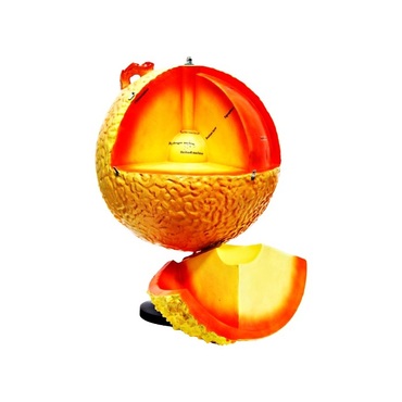 Модель "Строение Солнца" (разборная) - «globural.ru» - Рузаевка