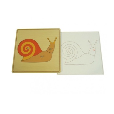 Строение улитки с контуром - «globural.ru» - Рузаевка